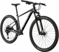 Велосипед 29" Cannondale Trail SL 3 (2024) black pearl 0