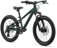 Велосипед 20" Giant STP FS (2021) trekking green 0