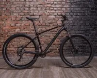 Велосипед 29" Pride Rebel 9.2 (2020) black 0