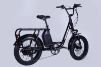 Велосипед 20" Dorozhnik eADAMANT DD FR 48B 17.5А*г 500Вт (2025) черный 1