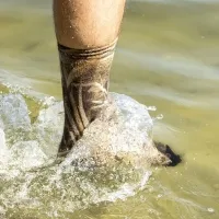 Шкарпетки водонепроникні  Dexshell StormBLOK, хакі 6