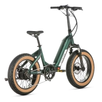 Велосипед 20" Aventon Sinch 500 ST (2023) moss green 1