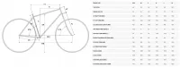 Велосипед 28" Merida SCULTURA ENDURANCE 5000 (2021) matt green 5