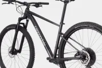 Велосипед 29" Cannondale Trail SL 3 (2024) black pearl 4
