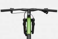 Велосипед 29" Cannondale Trail SL 3 (2024) green 1