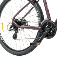 Велосипед 29" SPIRIT ECHO 9.2 burgundy brown 3