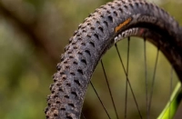 Покрышка 29 x 2.20 (55-622) Continental Cross King black/black wire TPI 3/180 (745g) 3