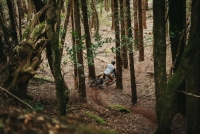 Велосипед 29" Merida BIG.TRAIL 300 (2026) black 4