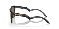 Окуляри Oakley FROGSKINS HYBRID (PRIZM 24K Polar) matte black 0