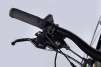 Велосипед 29" Formula eHEAVY DUTY DD FR 36B 12.5А*г 500Вт (2025) коричневий (матовий) 2