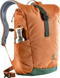 Рюкзак Deuter Stepout 22 chestnut-ivy (9206) 10