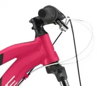 Велосипед Haibike SEET HardLife 1.0 розовый 2018 0