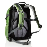 Рюкзак Deuter Ypsilon green arrowcheck (2013) 0