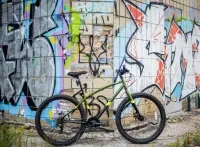 Велосипед Pride Rocksteady 7.1 хаки 2018 3