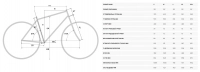 Велосипед 29" Merida BIG.NINE XT-EDITION (2023) Silk gold 0