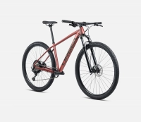 Велосипед 29" Orbea ONNA 20 (2025) terracotta red matt/green gloss 0