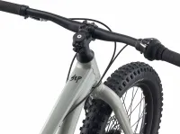Велосипед 20"+ Giant STP (2021) concrete 1