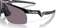 Очки Oakley RESISTOR (PRIZM Grey) polished black 4