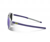 Очки Julbo WARD (Spectron 3CF) shiny crystal/purple 2