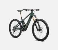 Велосипед 29" Orbea WILD M20 (2025) forest green matt 0