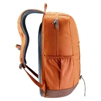 Рюкзак Deuter Gogo chestnut-umbra (6616) 3