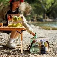 Контейнер складаний Naturehike NH20SJ040, 20L, transparent 7