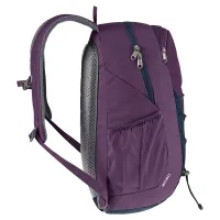 Рюкзак Deuter Gogo plum-ink (5334) 3