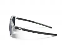 Очки Julbo WARD (Spectron 3) shiny translucent gray/black 2