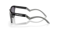 Окуляри Oakley FROGSKINS HYBRID (PRIZM Grey) matte black 2