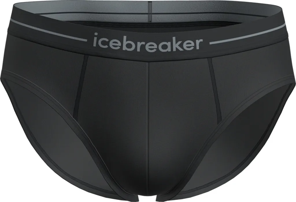 Трусы ICEBREAKER Men Merino 150 Anatomica Briefs black