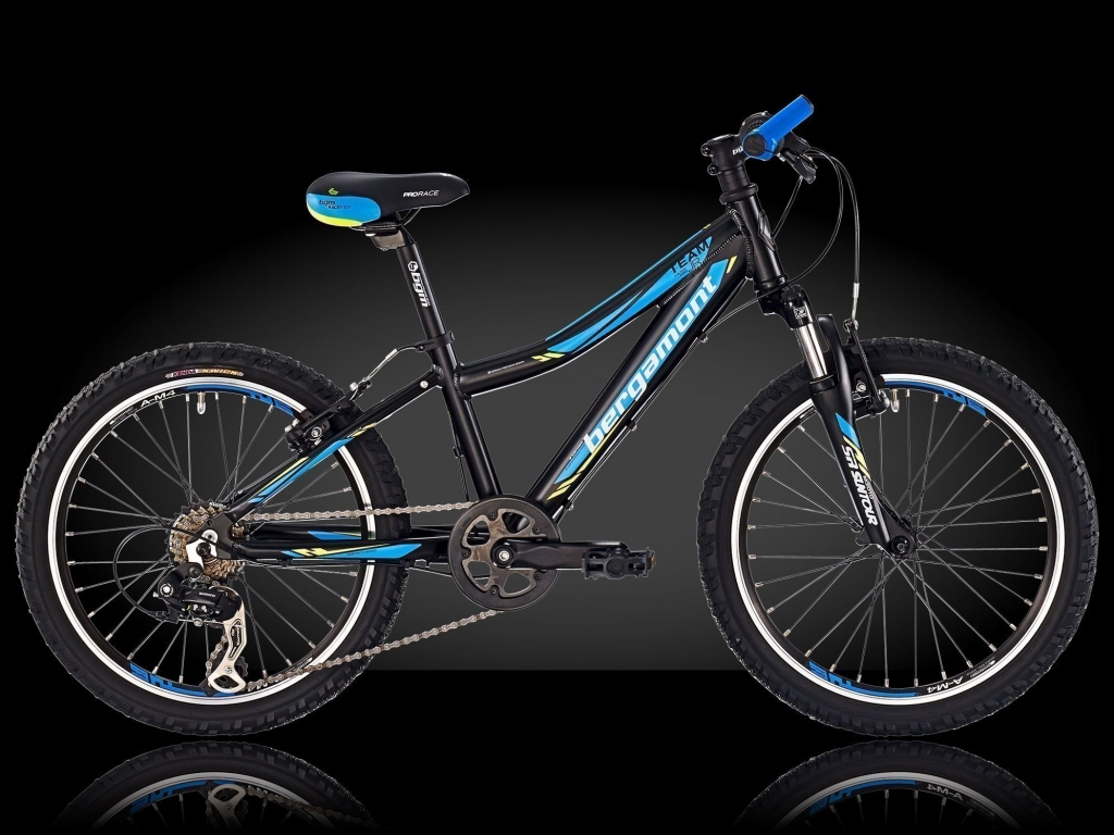 Велосипед Bergamont Team Junior 20” 2015 Велосипед Bergamont Team Junior 20” 2015