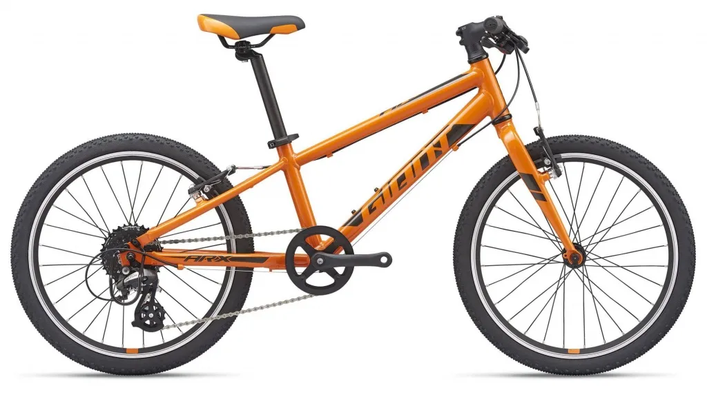 Велосипед 20" Giant ARX (2021) orange/ black