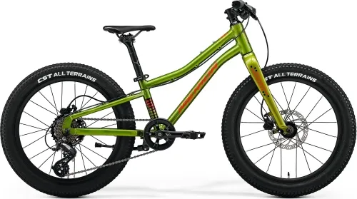Велосипед 20 Merida MATTS J. 20 Plus (2024) fall green