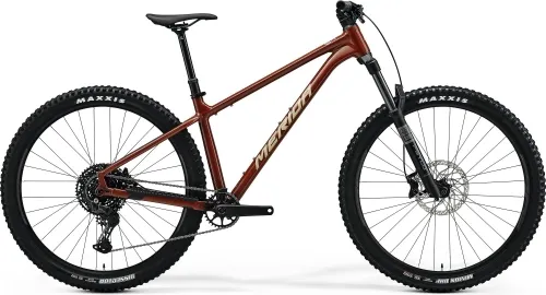 Велосипед 29 Merida BIG.TRAIL 500 (2025) mokka