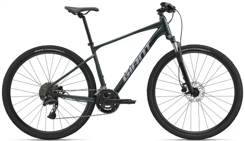 Велосипед 28 Giant Roam 2 (2026) asphalt green