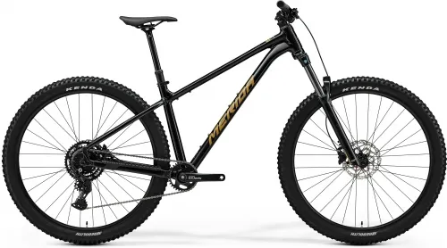 Велосипед 29 Merida BIG.TRAIL 300 (2026) black