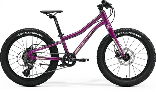 Велосипед 20 Merida MATTS J.20+ (2023) purple