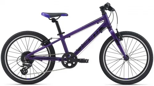 Велосипед 20 Giant ARX (2021) purple