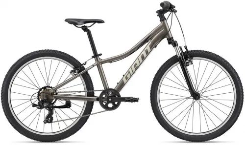 Велосипед 24 Giant XTC Jr 24 (2023) metal
