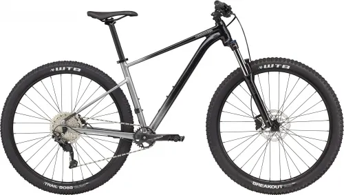 Велосипед 29 Cannondale Trail SE 4 (2022) grey