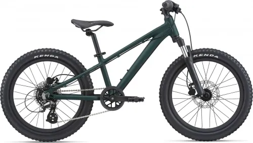 Велосипед 20 Giant STP FS (2022) Trekking Green