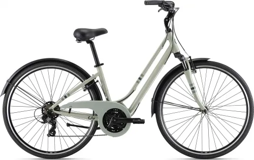 Велосипед 28 Liv Flourish FS 3 Desert Sage