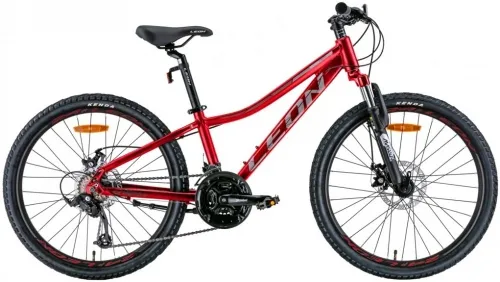 Велосипед 24 Leon JUNIOR AM DD (2022) красный с серым