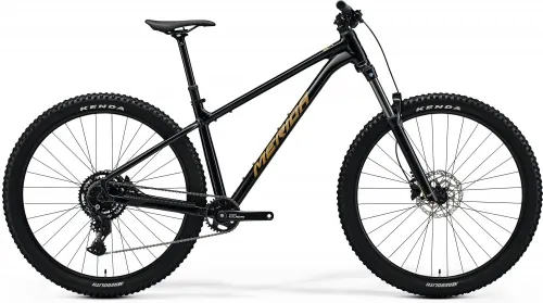 Велосипед 29 Merida BIG.TRAIL 300 (2025) black