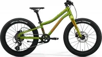 Велосипед 20" Merida MATTS J. 20 Plus (2024) fall green
