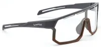 Очки Lynx Bismarck PH GC (0-3) upper matt gray, lower copper