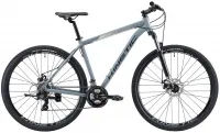 Велосипед 29" Kinetic Storm (2022) серый