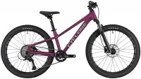 Велосипед 24" Cyclone Dream (2025) violet matt