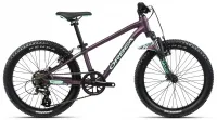 Велосипед 20" Orbea MX 20 XC (2022) Purple - Mint