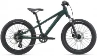 Велосипед 20" Giant STP FS (2021) trekking green